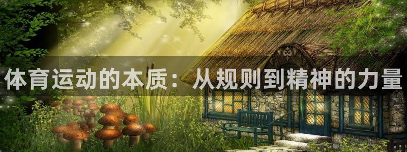 一竞技官方正版app集团官网网址:体育运动的本质:从规则到精