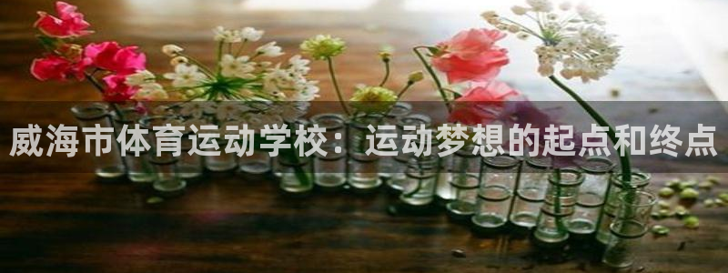 一竞技官方正版app神州:威海市体育运动学校:运动梦想的起点